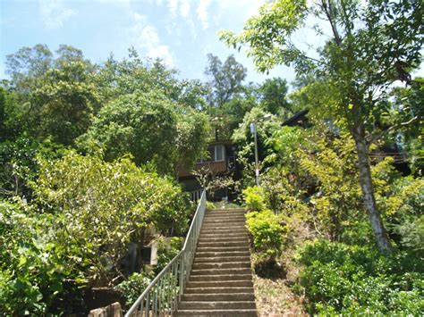 北宜 佛像|關於臺北雲陽寺